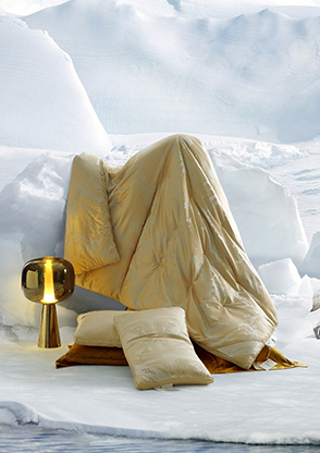 Shanghai Shuixing Home Textile Stock Co., Ltd